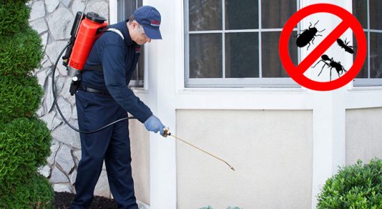 Araklı Bit İlaçlama böcek ilaçlama ve haşere kontrolü — ilaclama-tr.com